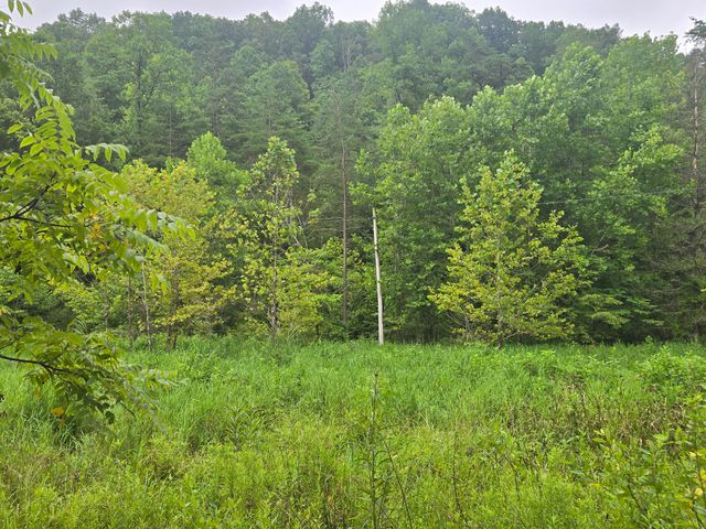 Lot 1,2,3,4 High Rock Road, Stanton, KY 40380