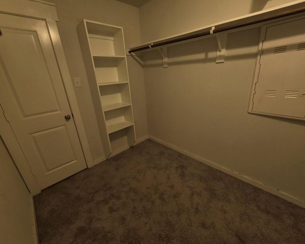 9222 Melmack Drive, Rosharon, TX 77583