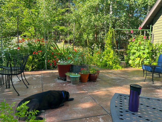 523 Strawberry Lane, Ashland, OR 97520