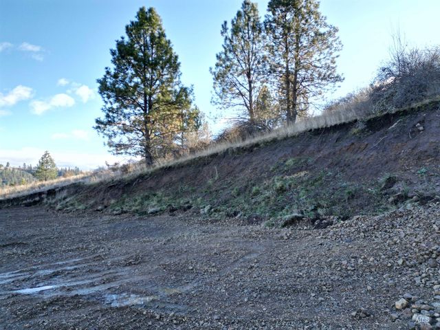 TBD Canyon Road, Kooskia, ID 83539