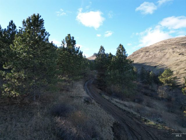 TBD Canyon Road, Kooskia, ID 83539