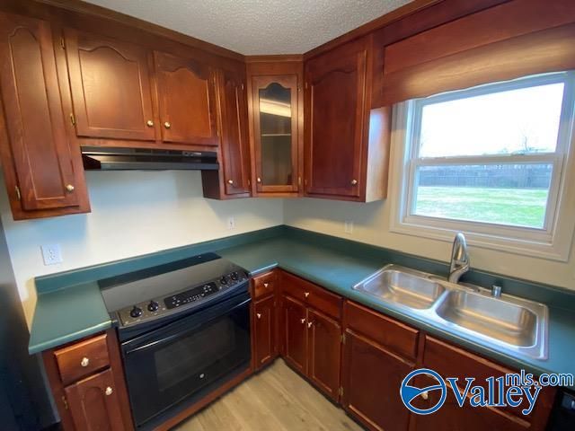 124 Poplar Green Lane, Harvest, AL 35749