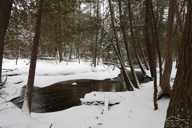 4646 Rau Road, Edwards Twp, MI 48661