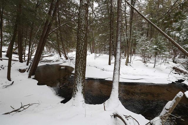 4646 Rau Road, Edwards Twp, MI 48661