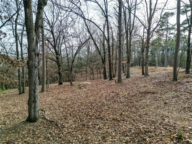 Lot 9 Blisslake Lane, Rogers, AR 72756