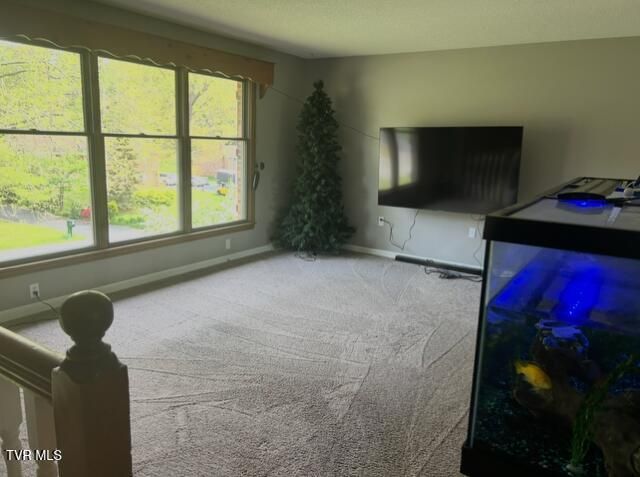 164 Woodstock Lane, Bristol, VA 24201