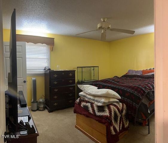 164 Woodstock Lane, Bristol, VA 24201