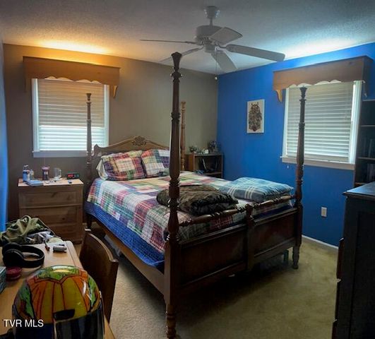 164 Woodstock Lane, Bristol, VA 24201