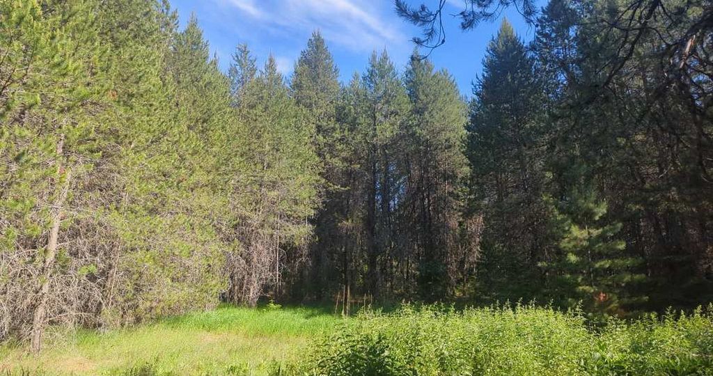 100 Duck Ln, Newport, WA 99156