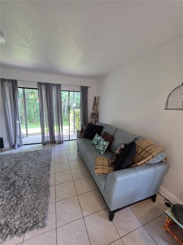 16638 BRIGADOON DRIVE, Tampa, FL 33618