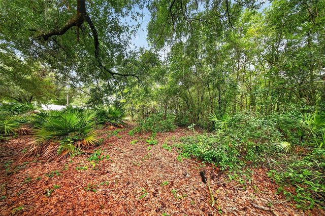 2304 CLEMENT ROAD, Lutz, FL 33549