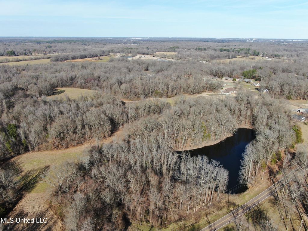 3800 Highway 301 Road, Lake Cormorant, MS 38641 — photo 4