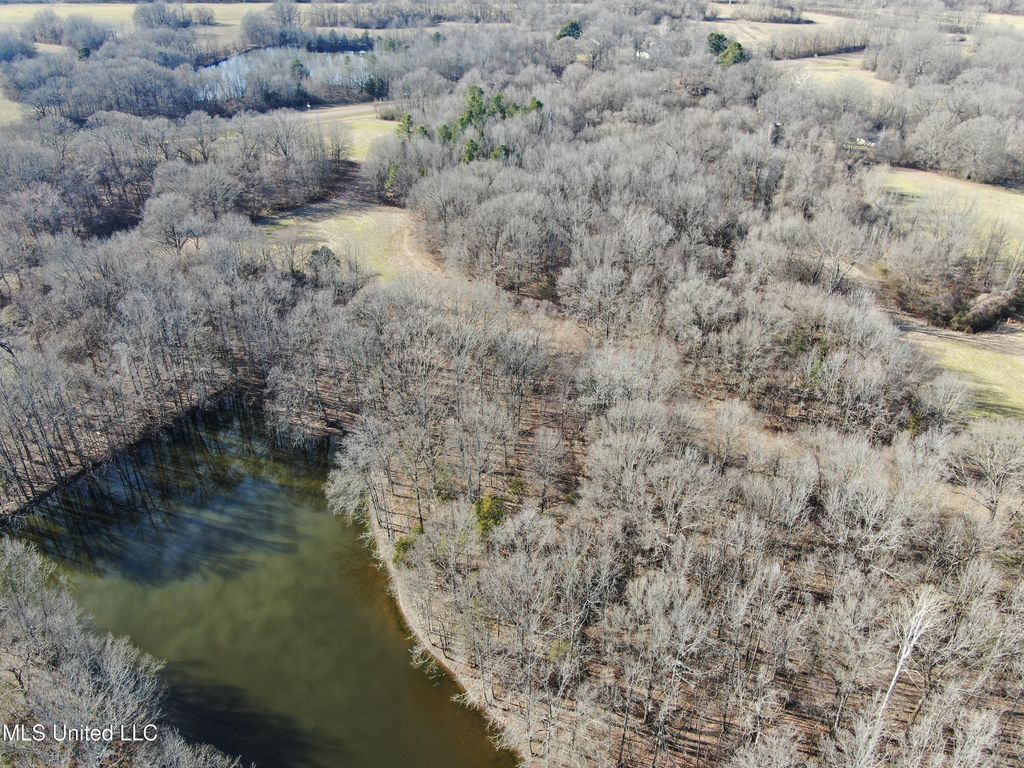 3800 Highway 301 Road, Lake Cormorant, MS 38641 — photo 5