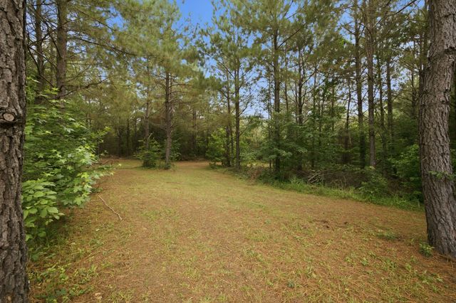 1405 Trace Creek Rd, Hohenwald, TN 38462