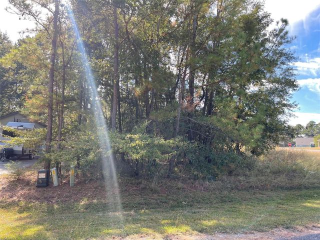 40 Knight Lane Drive, Coldspring, TX 77331