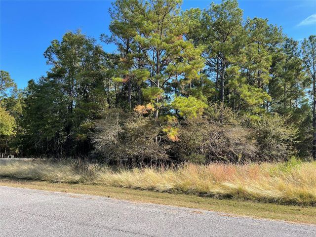 40 Knight Lane Drive, Coldspring, TX 77331