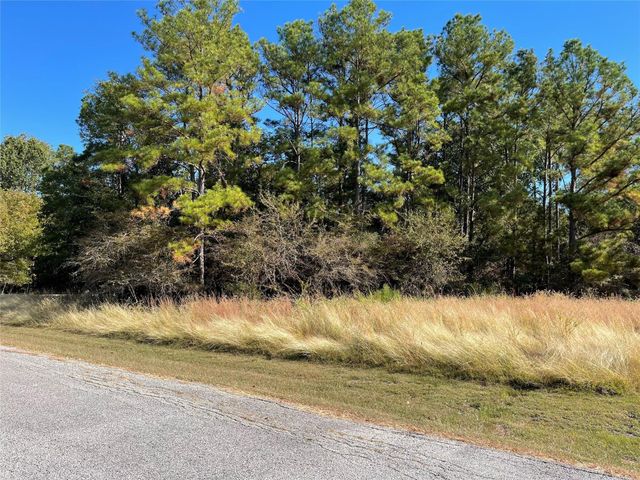 40 Knight Lane Drive, Coldspring, TX 77331