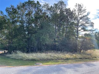 40 Knight Lane Drive, Coldspring, TX 77331