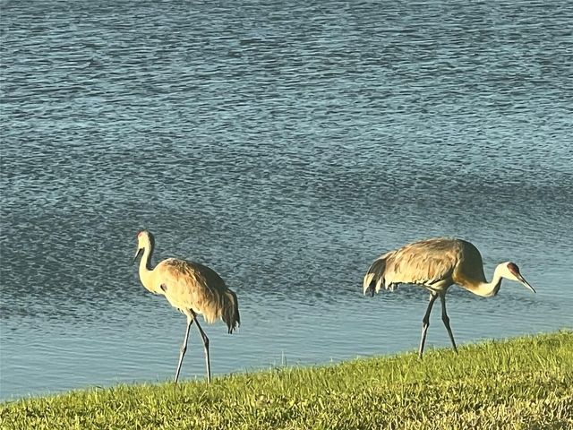 12306 SW Nettuno Way, Port St. Lucie, Port St Lucie, FL 34987