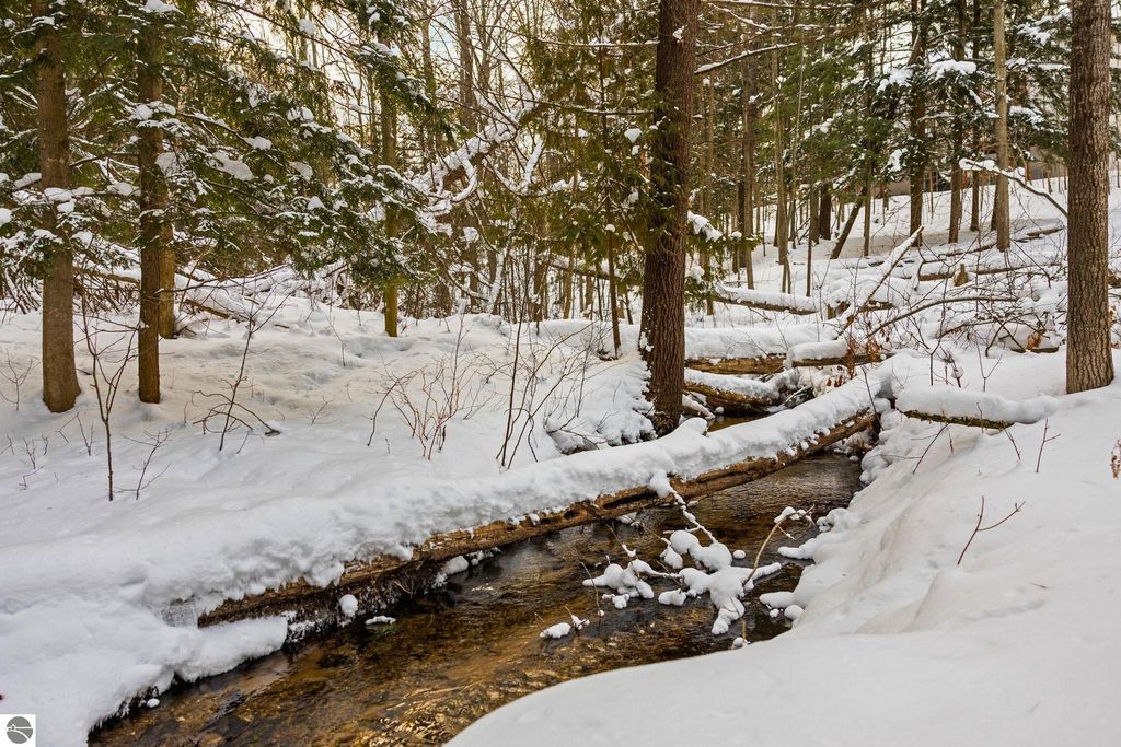 Image 38 of property listing at 5466 Millbrook Drive # 6, Williamsburg, MI 49690