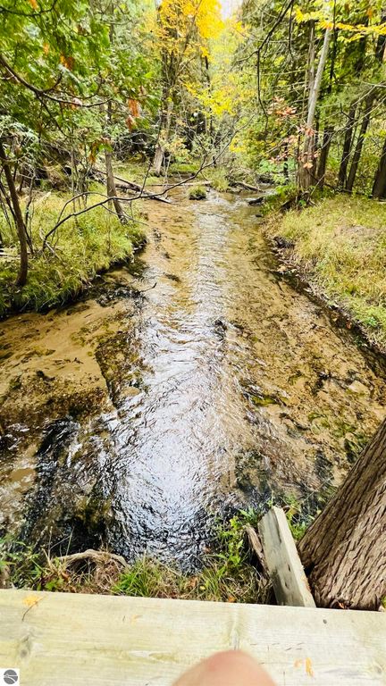 Image 39 of property listing at 5466 Millbrook Drive # 6, Williamsburg, MI 49690