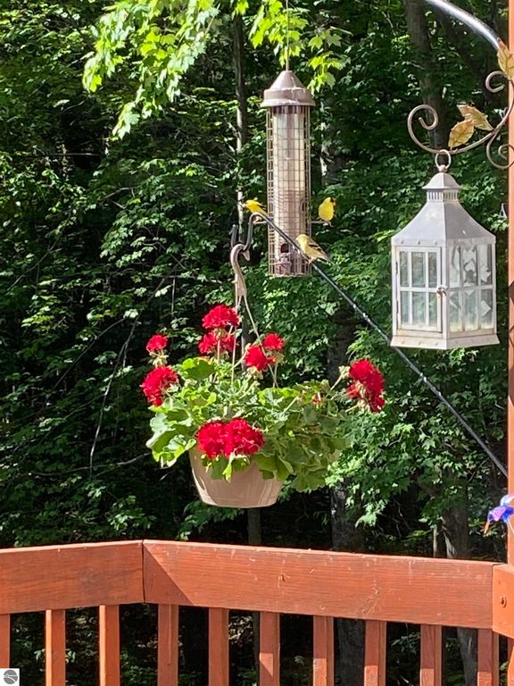 Image 41 of property listing at 5466 Millbrook Drive # 6, Williamsburg, MI 49690