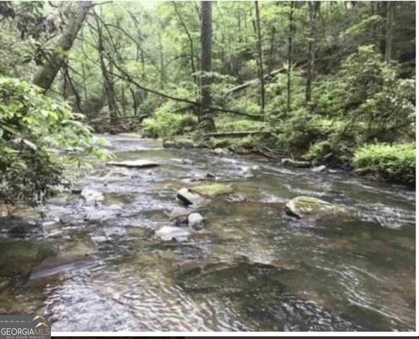 74 Grizzle Court, Ellijay, GA 30540