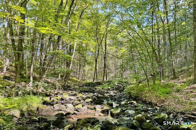 208 Wood Creek Road, Bethlehem, CT 06751