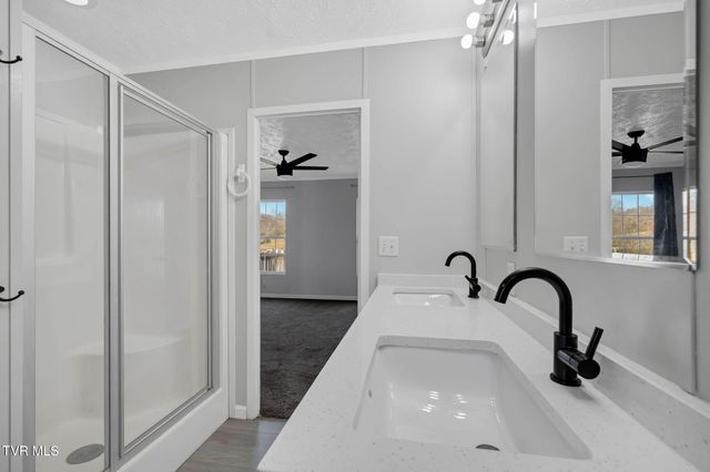 85 Mt Carmel Road, Mosheim, TN 37818