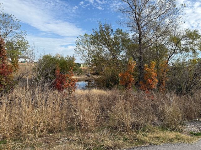 461 Lange Way, New Fairview, TX 76078