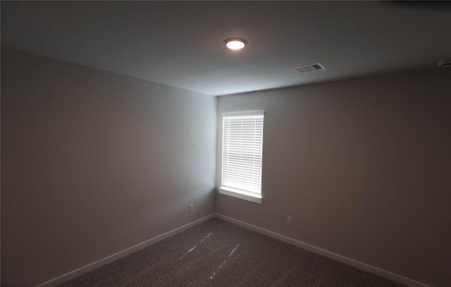 8603 Blueberry Ash St, Magnolia, TX 77354