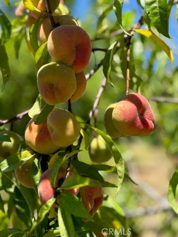 40485 Via Caballos, Murrieta, CA 92562