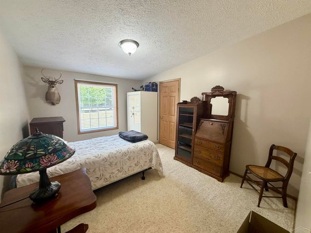 6113 Hillside Drive, Alger, MI 48610