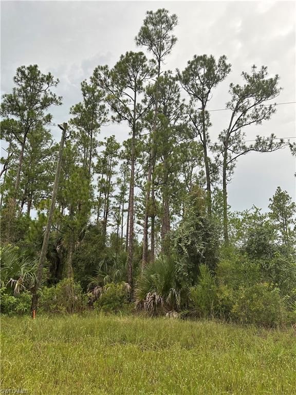 373/375 Greenbriar BLVD, LEHIGH ACRES, FL 33972 — exterior
