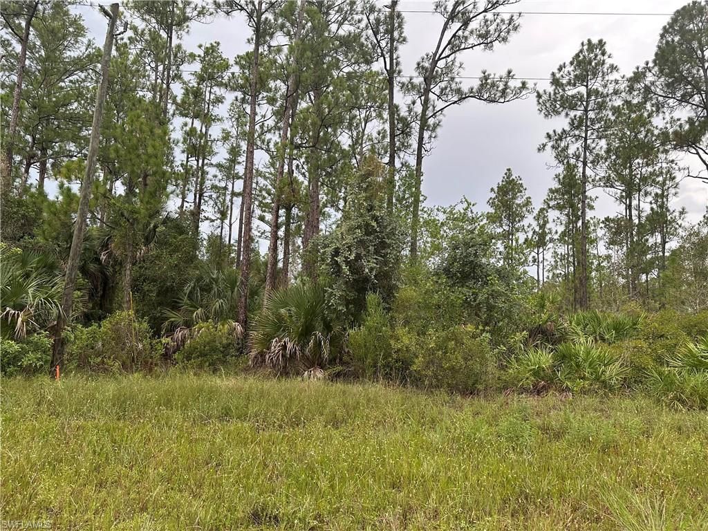 373/375 Greenbriar BLVD, LEHIGH ACRES, FL 33972 — photo 2