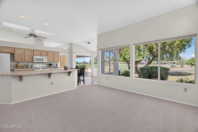 14238 W SKY HAWK Drive, Sun City West, AZ 85375