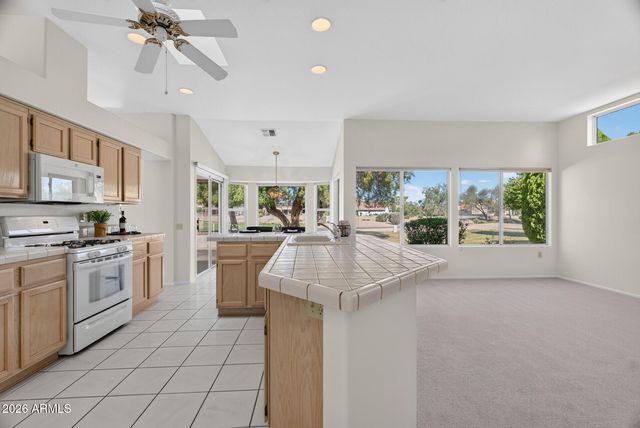 14238 W SKY HAWK Drive, Sun City West, AZ 85375