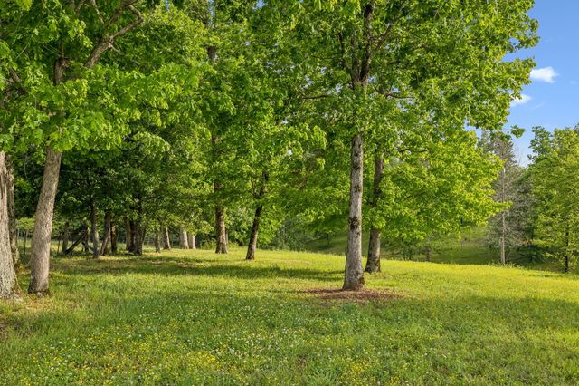 7899 W Lick Creek Rd, Primm Springs, TN 38476