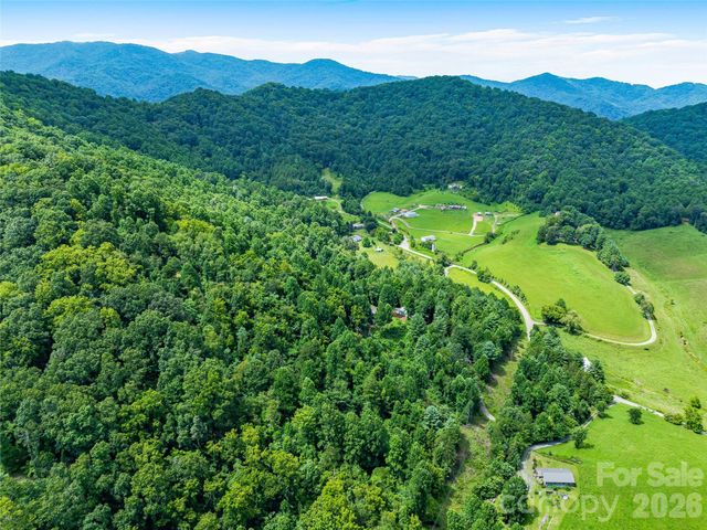 152 Worley Cove Road, Leicester, NC 28748