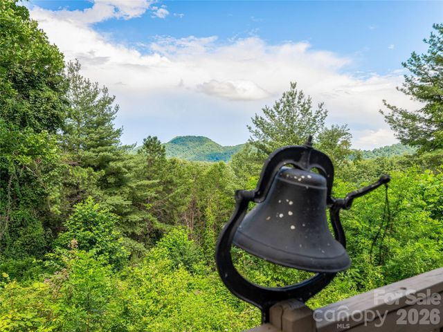 152 Worley Cove Road, Leicester, NC 28748
