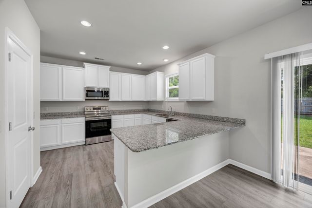1171 Grey Pine Drive, Blythewood, SC 29016