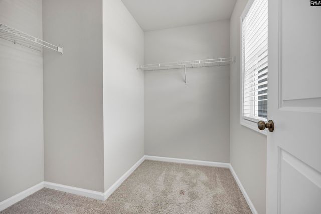 1171 Grey Pine Drive, Blythewood, SC 29016
