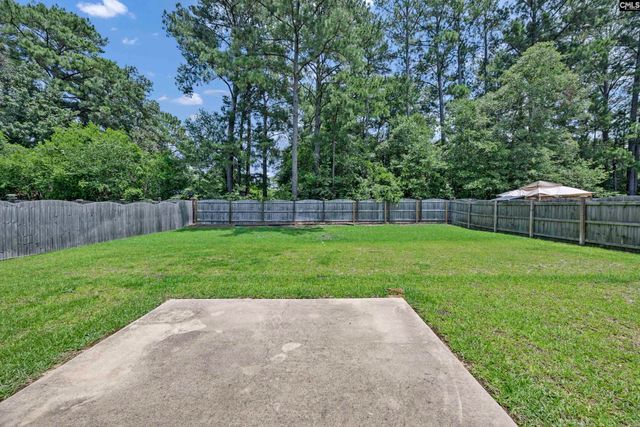 1171 Grey Pine Drive, Blythewood, SC 29016