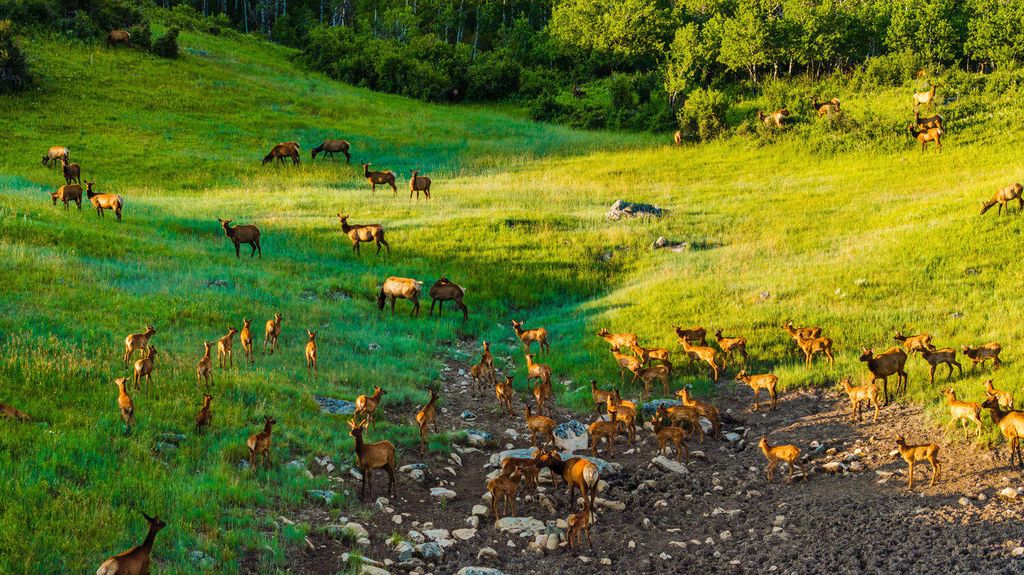 57 Canyon Ranch Road, Big Horn, WY 82833 photo 79