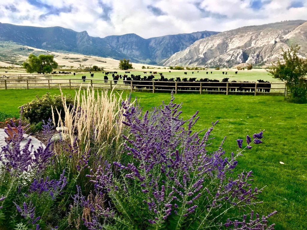 57 Canyon Ranch Road, Big Horn, WY 82833 photo 81