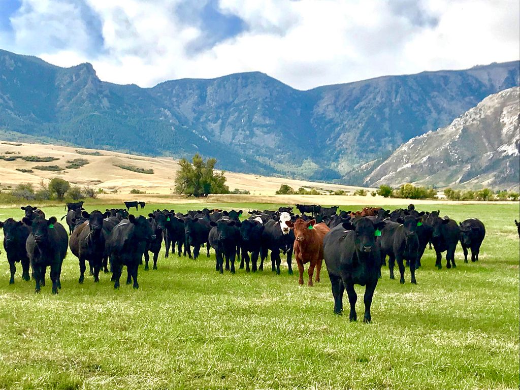 57 Canyon Ranch Road, Big Horn, WY 82833 photo 82