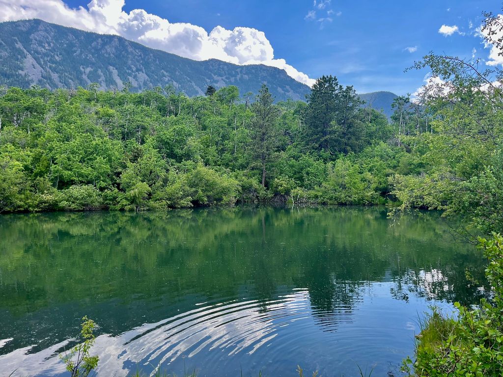 57 Canyon Ranch Road, Big Horn, WY 82833 photo 83