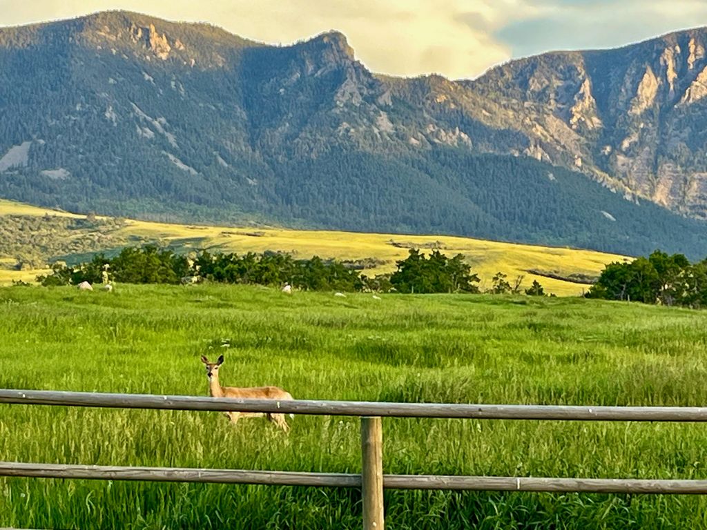 57 Canyon Ranch Road, Big Horn, WY 82833 photo 87