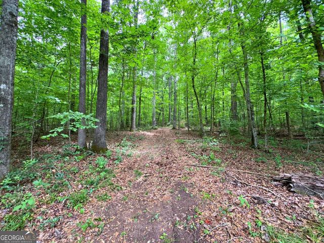 240 Riverview Road, Jackson, GA 30233