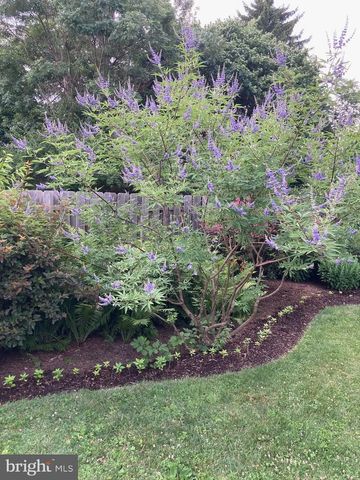 29 CHESTNUT ST, Princeton, NJ 08540